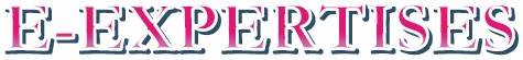 E-EXPERTISES
